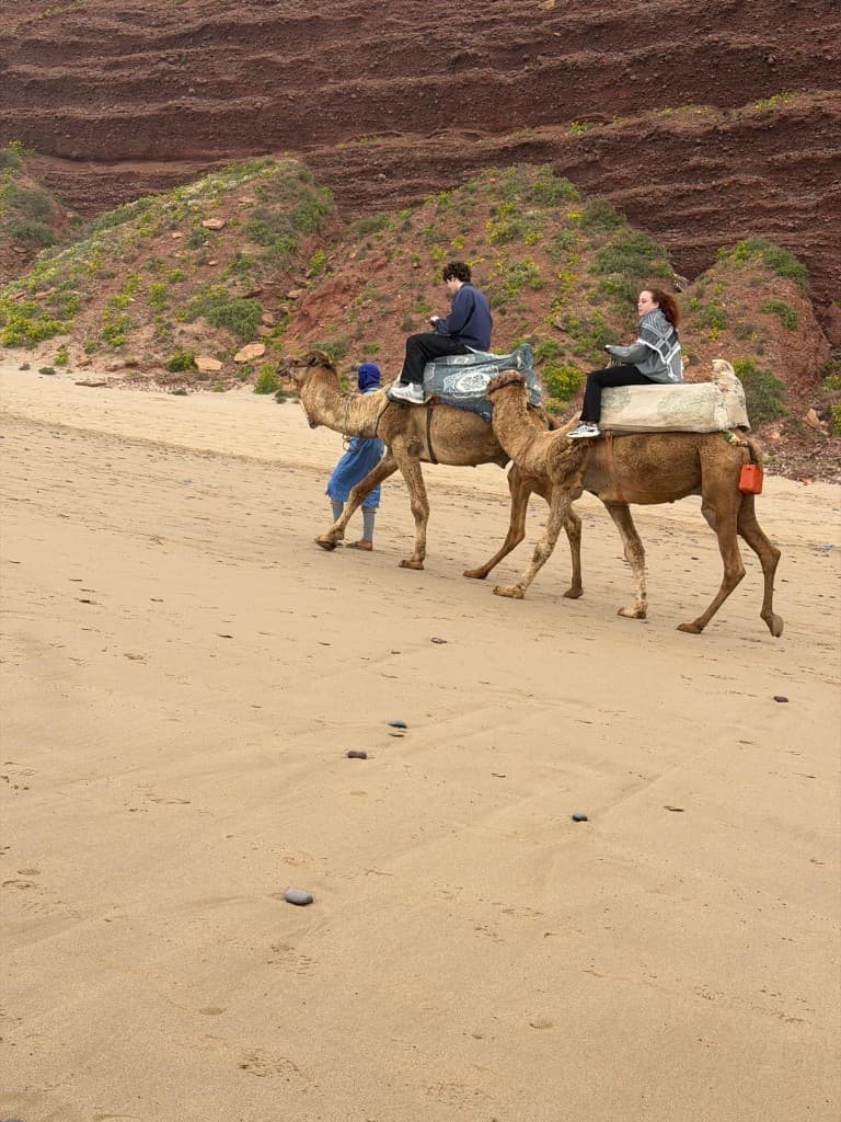 Horse Riding from Agadir