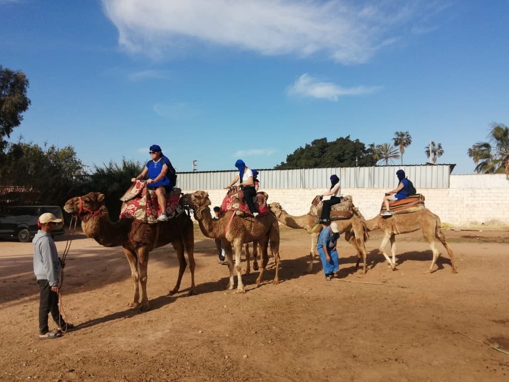 Book Tour Excursions — trip photo 38