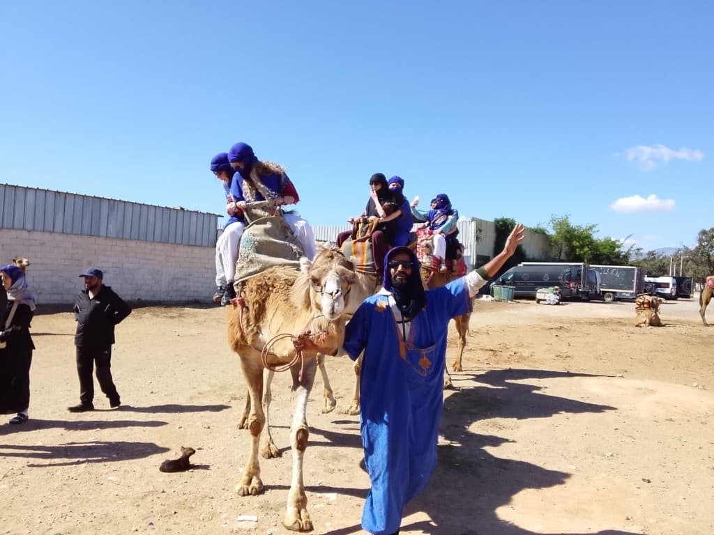 Camel Ride Tour in Agadir