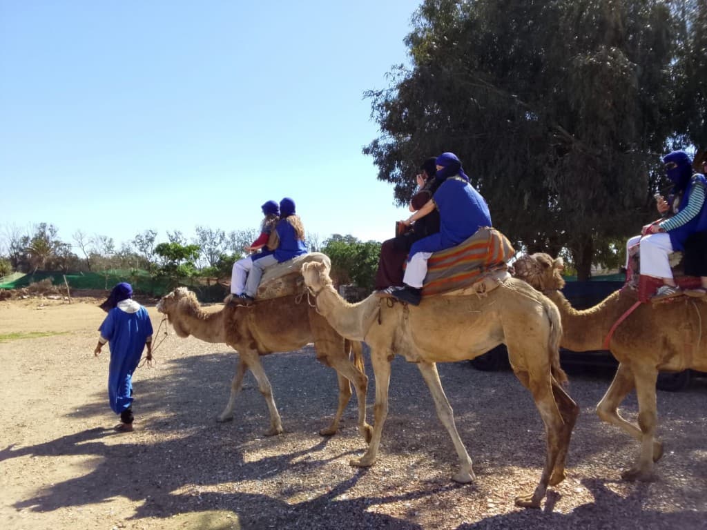 Book Tour Excursions — trip photo 45