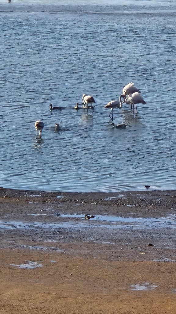 Book Tour Excursions — trip photo 35