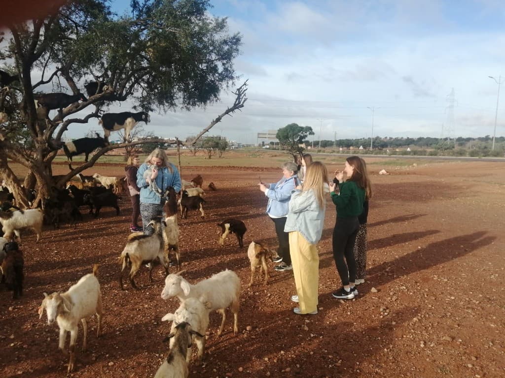 Book Tour Excursions — trip photo 40